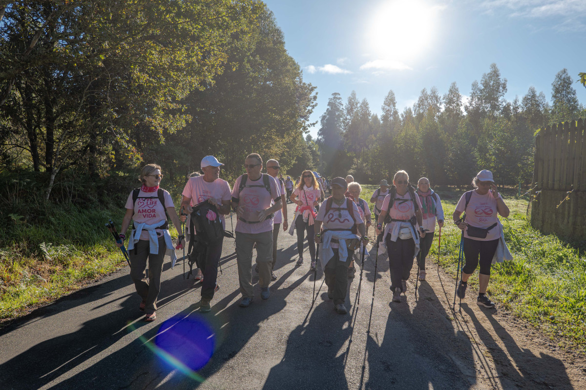 Walk the Camino de Santiago (Sarria – Santiago, Spain)