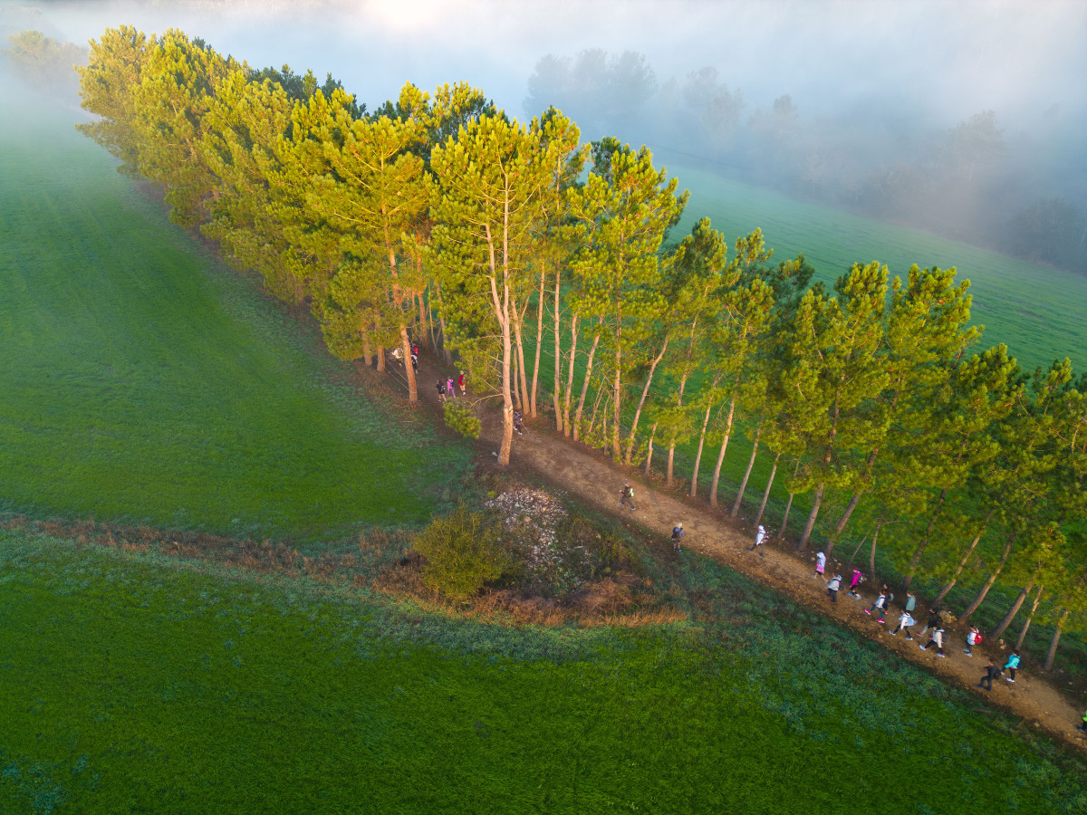 Walk the Camino de Santiago (Sarria – Santiago, Spain)