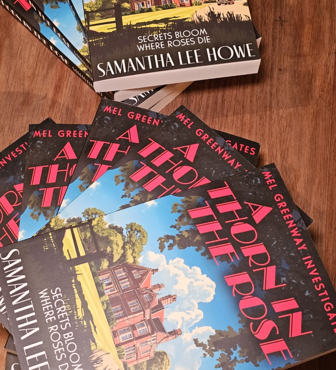 A Thorn in the Rose - book launch