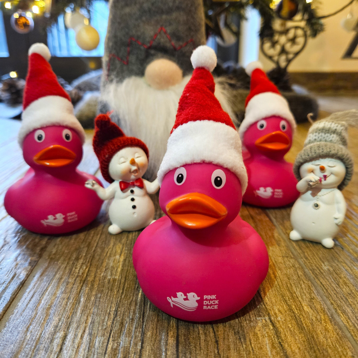 Quack Quack - adopt a Pink Duck this Christmas 💗
